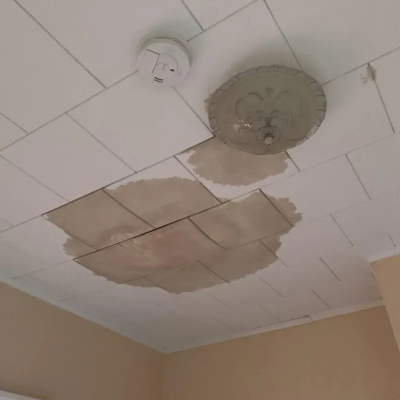 Ceiling Water Damage Repair in Dickinson County, IA
