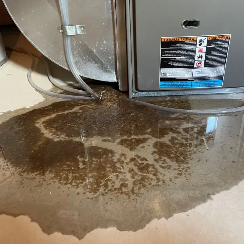 Pipe Burst and Leak Restoration in Dickinson County, IA