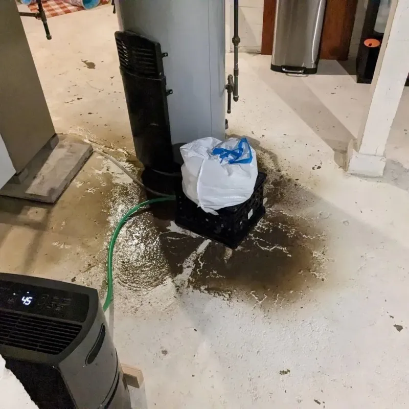 Sewage Backup Cleanup Service in Dickinson County, IA